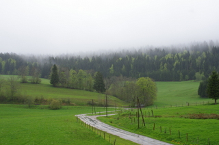 Brumes sur les sapins, La Cluse-et-Mijoux 2013