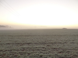 Brouillard sur un champ gelé