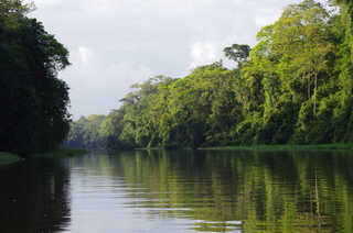 Parc de tortuguero,