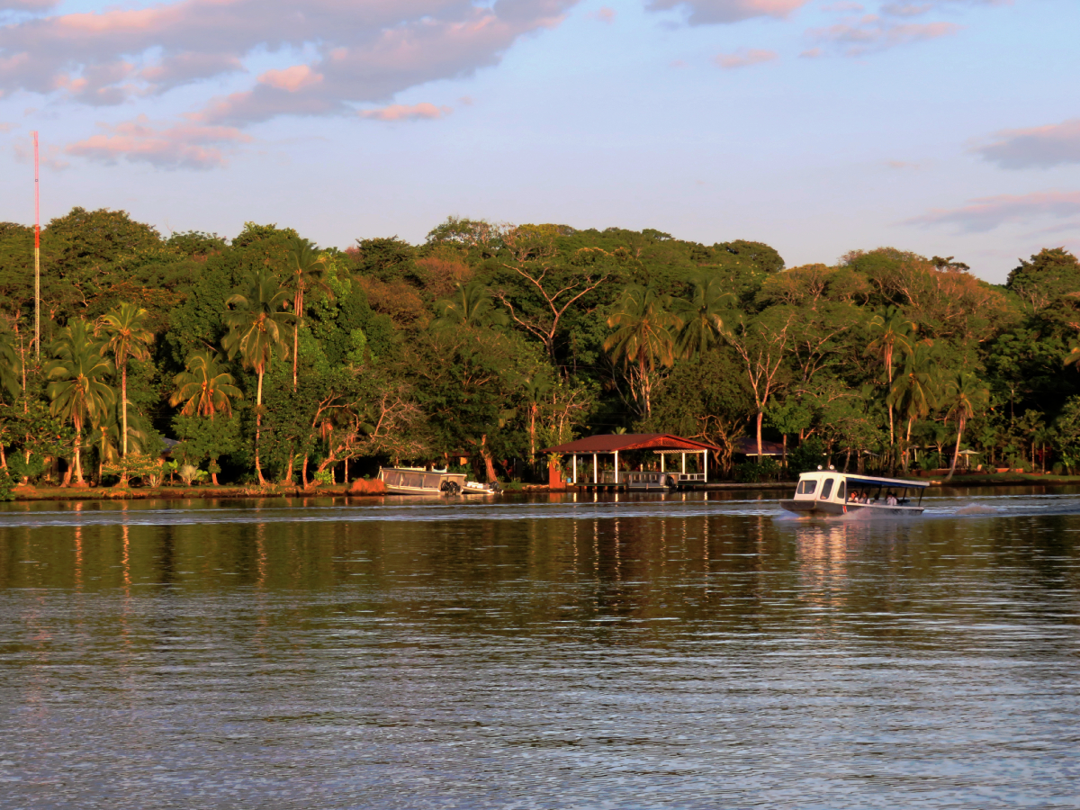 Réserve de Tortuguero, Costa Rica, 2018